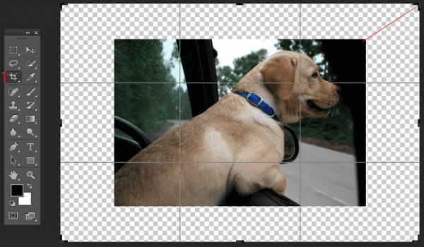 foto modificata in Photoshop