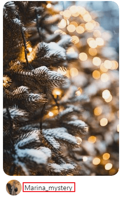 ripristina la foto di Pinterest con il nome utente