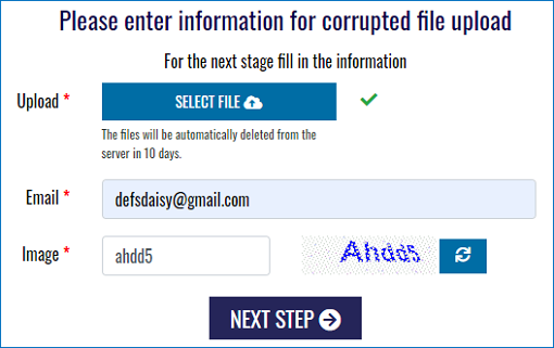 interfaccia recoverytoolbox