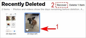 fare clic su no la foto per recuperare