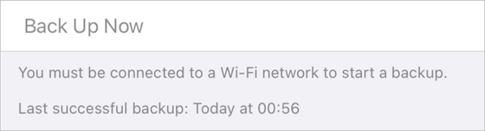eseguire il backup ora