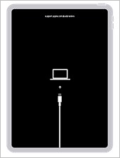 Modalità di ripristino dell'iPad
