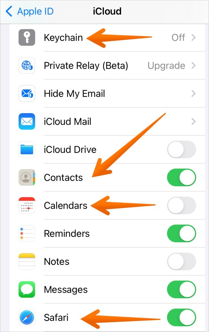 attiva contatti, portachiavi, calendari, safari