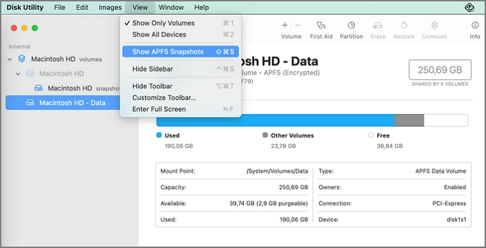 selezionare l'istantanea APFS più recente