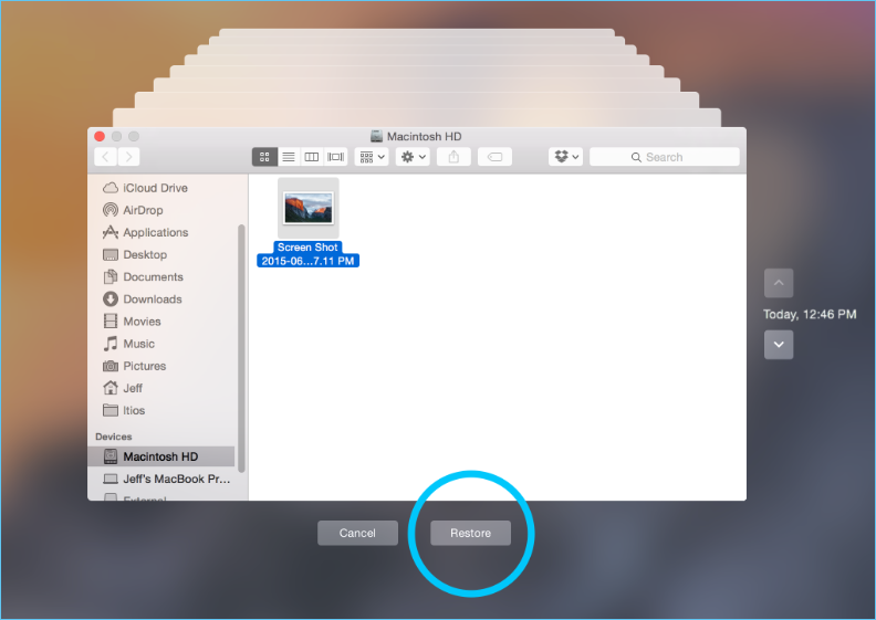 Ripristina i file desiderati