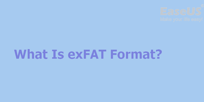 cos'è l'exfat