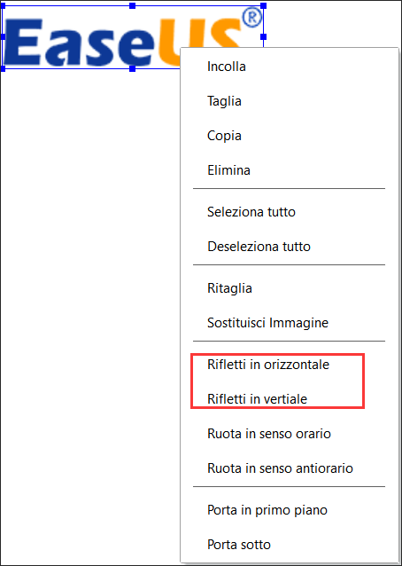 riflettere immagine pdf