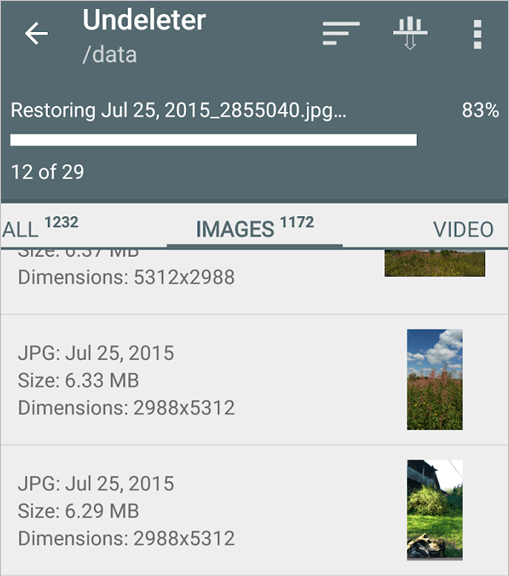 Annulla cancellazione