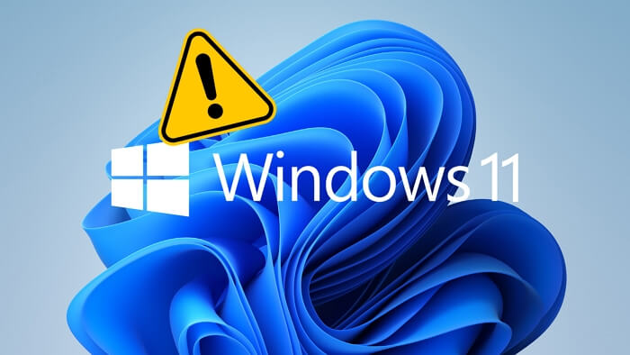 Problema Windows 11