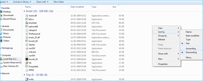 ordina per dimensione su Windows 7
