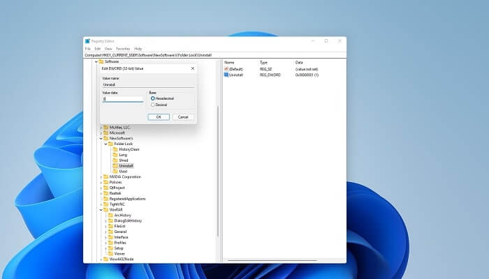 Utilizza l'editor di registro - 3